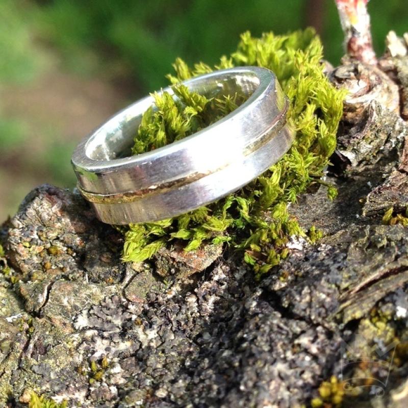 Silberring mit mittigem Goldband auf Ast.